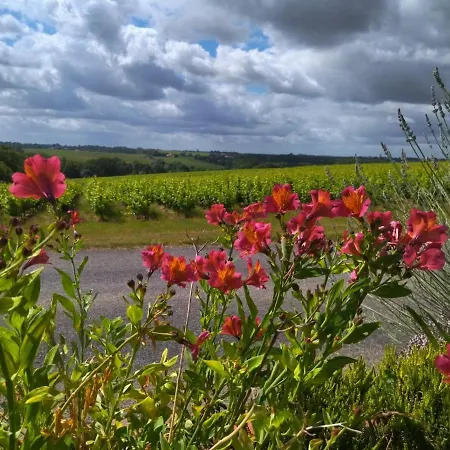 Les Chemins D'Ambre Et Thais La Regrippiere Exterior foto