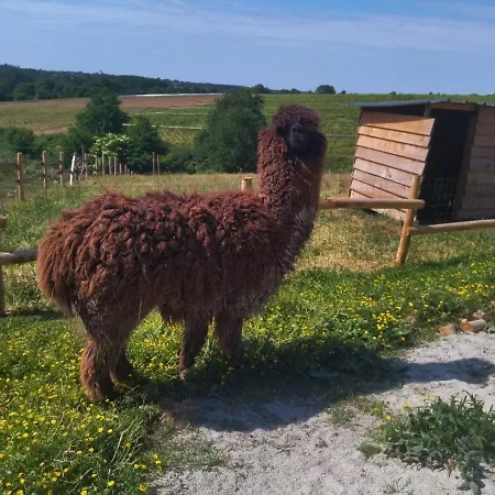 Les Chemins D'Ambre Et Thais La Regrippiere Exterior foto