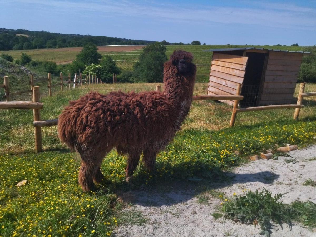 Les Chemins D'ambre Et Thais Homestay